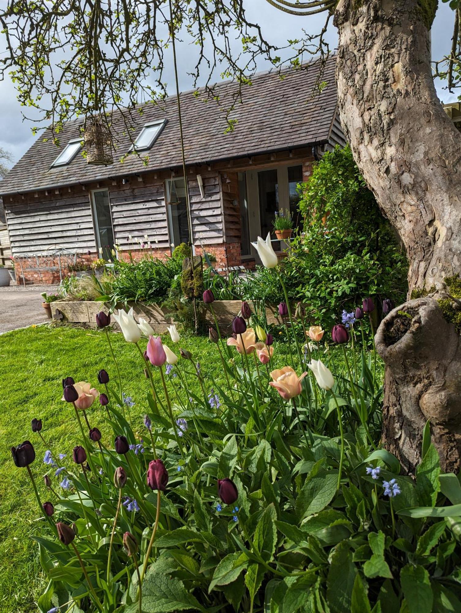 The Dorm Bed And Breakfast Eccleshall Exterior foto