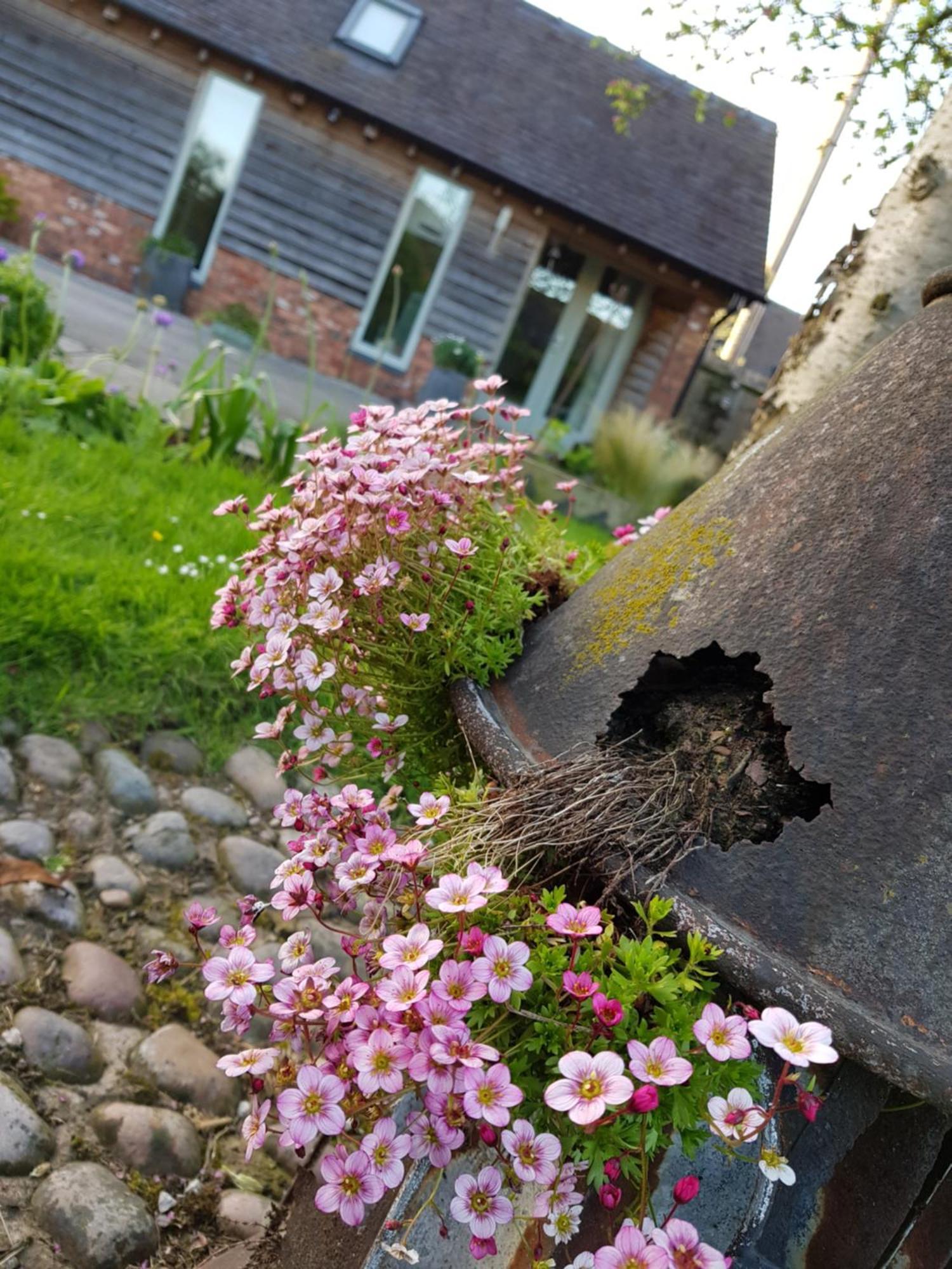 The Dorm Bed And Breakfast Eccleshall Exterior foto